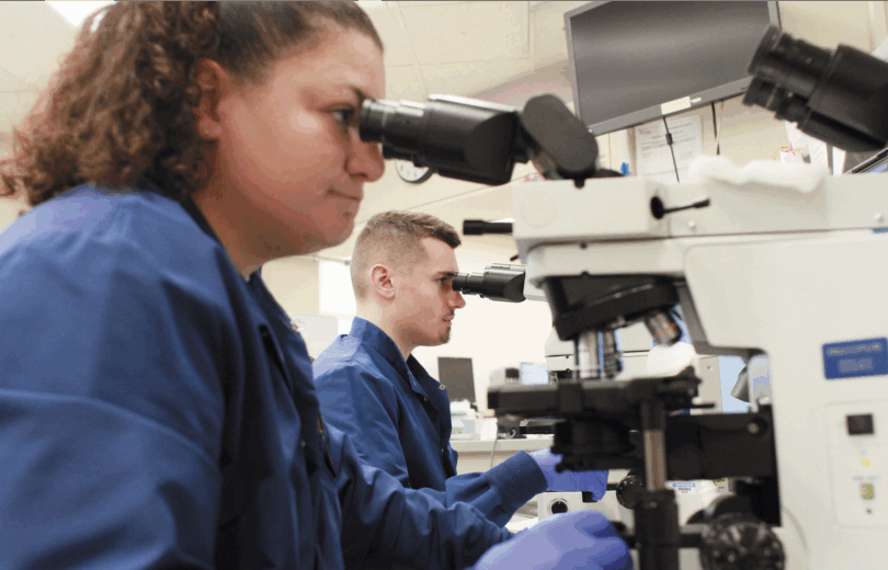Two lab technicians looking at samples through a machine.